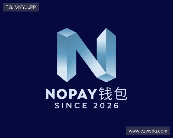 解读NOPAY钱包